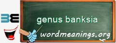 WordMeaning blackboard for genus banksia